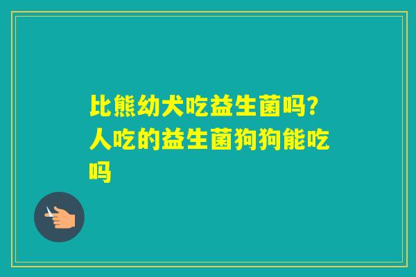 比熊幼犬吃益生菌吗？人吃的益生菌狗狗能吃吗
