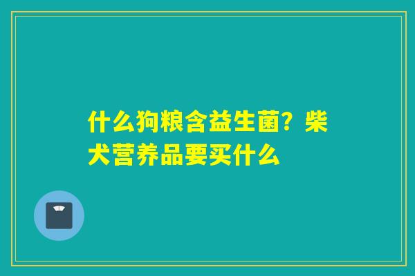 什么狗粮含益生菌?柴犬营养品要买什么 什么狗粮含益生菌?柴犬营养品要买什么