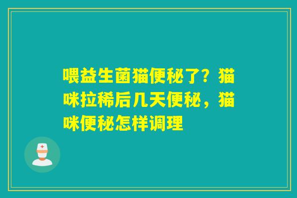 喂益生菌猫了？猫咪拉稀后几天，猫咪怎样调理
