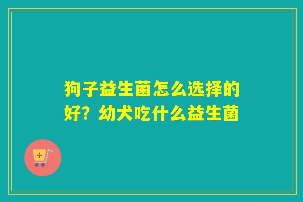 狗子益生菌怎么选择的好？幼犬吃什么益生菌