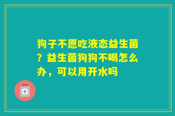 狗子不愿吃液态益生菌？益生菌狗狗不喝怎么办，可以用开水吗