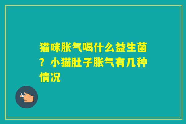 猫咪喝什么益生菌?小猫肚子有几种情况 猫咪喝什么益生菌?小猫肚子有几种情况