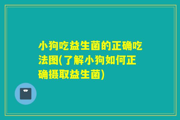 小狗吃益生菌的正确吃法图(了解小狗如何正确摄取益生菌) 小狗吃益生菌的正确吃法图(了解小狗如何正确摄取益生菌)