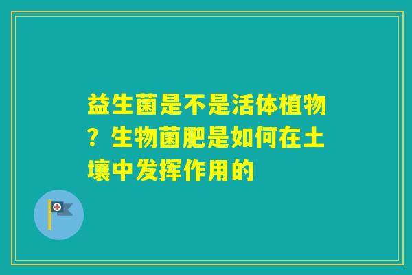 益生菌是不是活体植物？生物菌肥是如何在土壤中发挥作用的