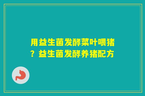 用益生菌发酵菜叶喂猪？益生菌发酵养猪配方