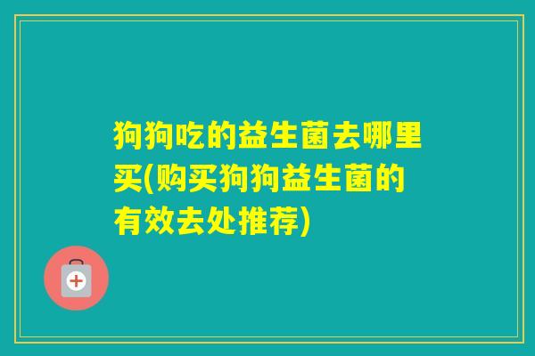 狗狗吃的益生菌去哪里买(购买狗狗益生菌的有效去处推荐)