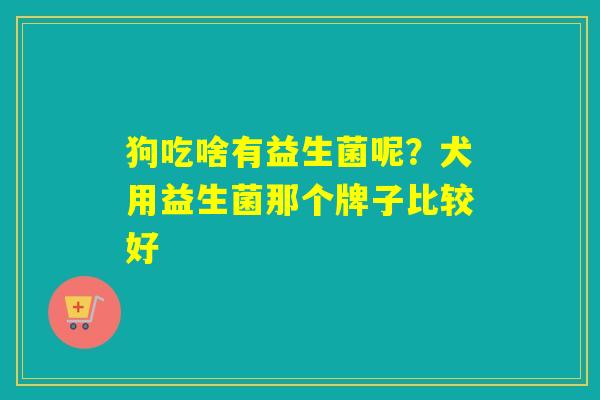 狗吃啥有益生菌呢？犬用益生菌那个牌子比较好