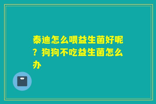 泰迪怎么喂益生菌好呢？狗狗不吃益生菌怎么办