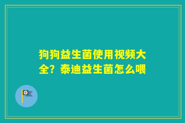狗狗益生菌使用视频大全？泰迪益生菌怎么喂