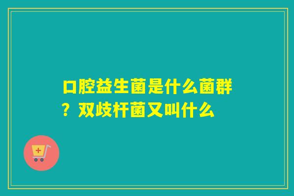 口腔益生菌是什么菌群？双歧杆菌又叫什么