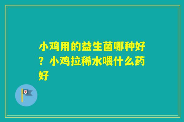 小鸡用的益生菌哪种好？小鸡拉稀水喂什么药好