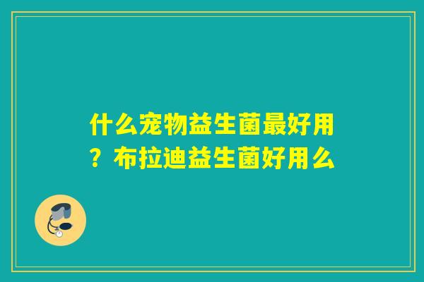 什么宠物益生菌好用？布拉迪益生菌好用么