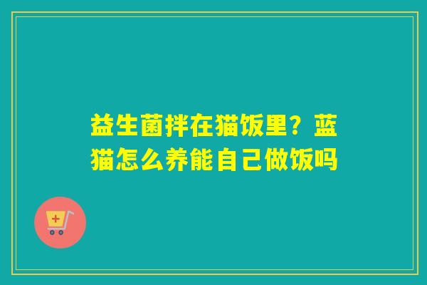 益生菌拌在猫饭里？蓝猫怎么养能自己做饭吗