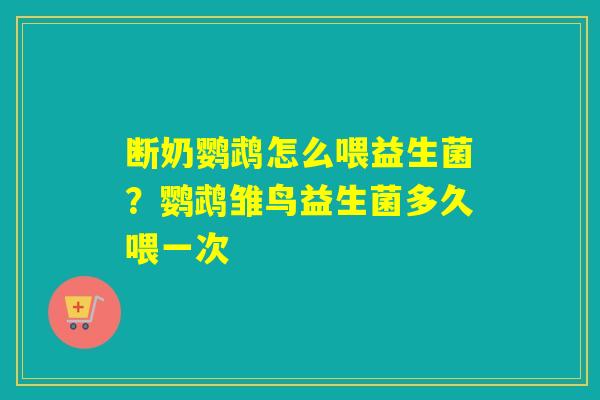 断奶鹦鹉怎么喂益生菌？鹦鹉雏鸟益生菌多久喂一次