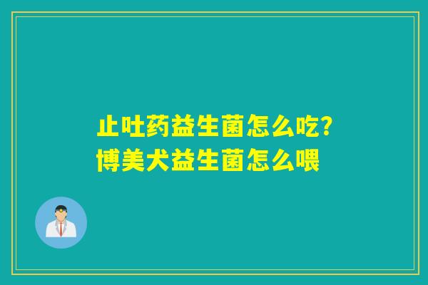 止吐药益生菌怎么吃？博美犬益生菌怎么喂
