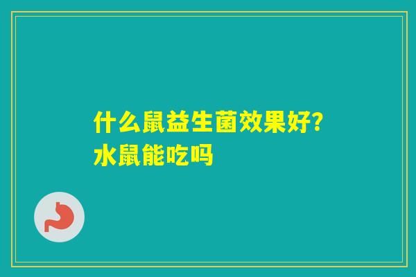 什么鼠益生菌效果好？水鼠能吃吗