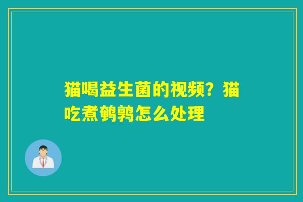 猫喝益生菌的视频?猫吃煮鹌鹑怎么处理 猫喝益生菌的视频?猫吃煮鹌鹑怎么处理