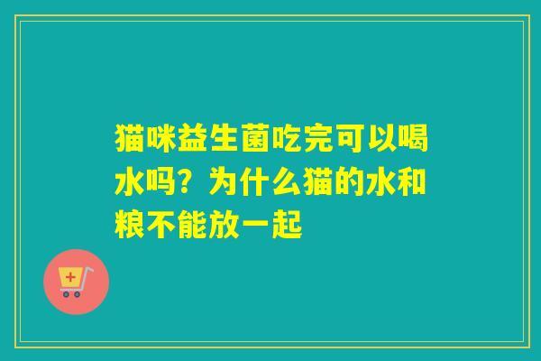 猫咪益生菌吃完可以喝水吗？为什么猫的水和粮不能放一起