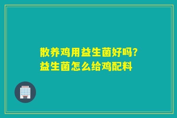 散养鸡用益生菌好吗？益生菌怎么给鸡配料