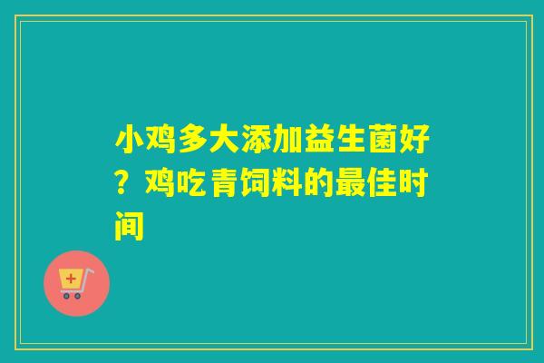 小鸡多大添加益生菌好？鸡吃青饲料的佳时间