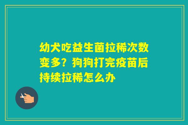 幼犬吃益生菌拉稀次数变多？狗狗打完疫苗后持续拉稀怎么办