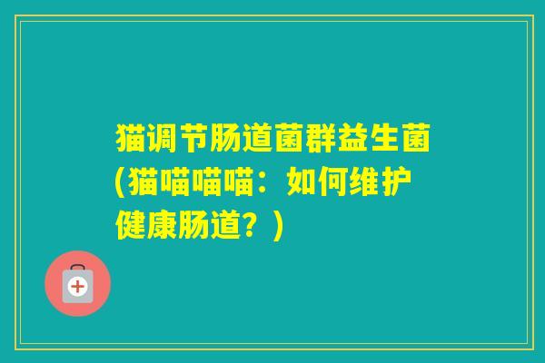 猫调节肠道菌群益生菌(猫喵喵喵：如何维护健康肠道？)