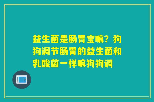 益生菌是肠胃宝嘛？狗狗调节肠胃的益生菌和乳酸菌一样嘛狗狗调