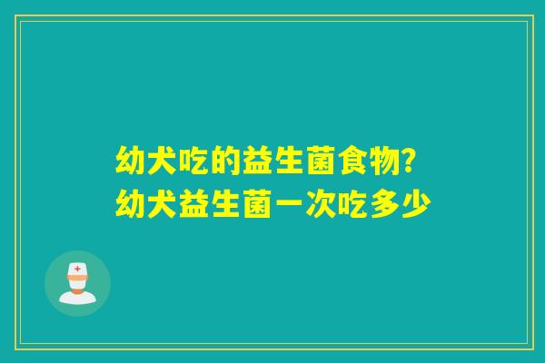 幼犬吃的益生菌食物？幼犬益生菌一次吃多少