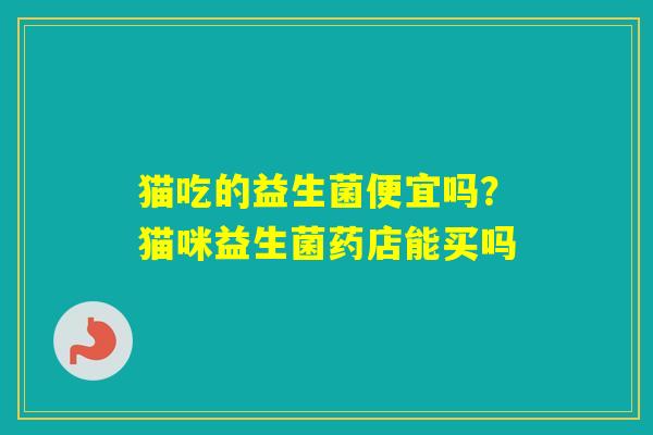 猫吃的益生菌便宜吗?猫咪益生菌药店能买吗 猫吃的益生菌便宜吗?猫咪益生菌药店能买吗
