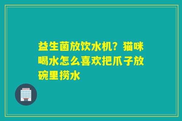 益生菌放饮水机?猫咪喝水怎么喜欢把爪子放碗里捞水 益生菌放饮水机?猫咪喝水怎么喜欢把爪子放碗里捞水