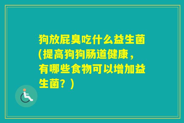 狗放屁臭吃什么益生菌(提高狗狗肠道健康，有哪些食物可以增加益生菌？)