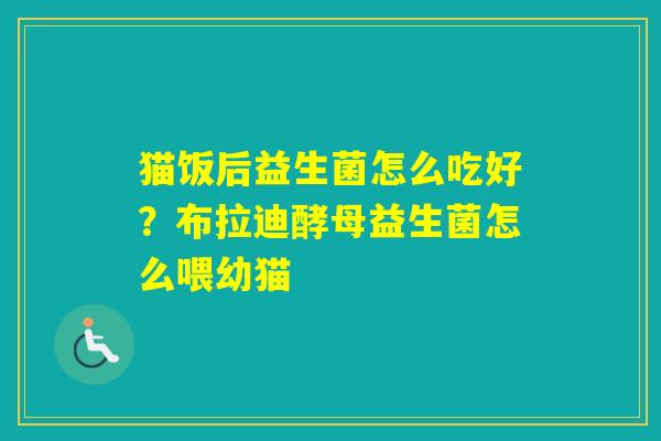 猫饭后益生菌怎么吃好？布拉迪酵母益生菌怎么喂幼猫