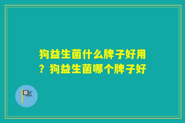 狗益生菌什么牌子好用？狗益生菌哪个牌子好