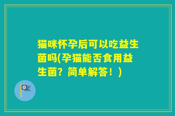 猫咪怀孕后可以吃益生菌吗(孕猫能否食用益生菌?简单解答!) 猫咪怀孕后可以吃益生菌吗(孕猫能否食用益生菌?简单解答!)