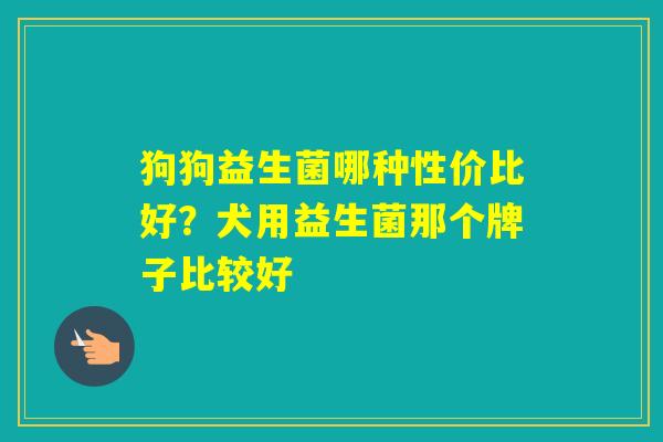 狗狗益生菌哪种性价比好？犬用益生菌那个牌子比较好