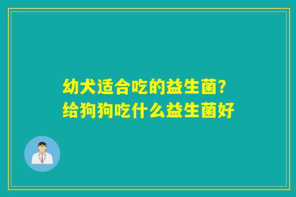 幼犬适合吃的益生菌?给狗狗吃什么益生菌好 幼犬适合吃的益生菌?给狗狗吃什么益生菌好