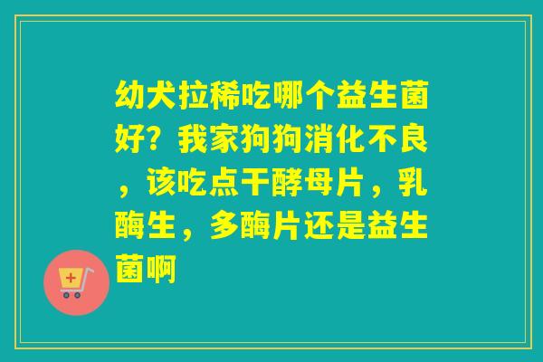 幼犬拉稀吃哪个益生菌好？我家狗狗，该吃点干酵母片，乳酶生，多酶片还是益生菌啊