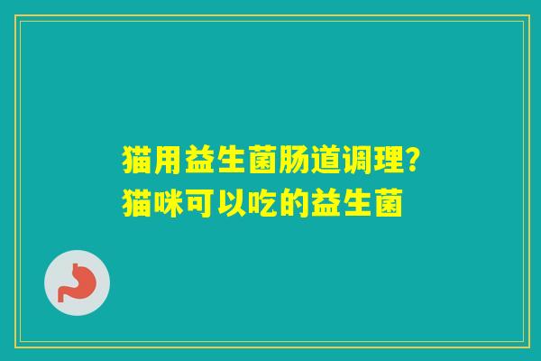 猫用益生菌肠道调理？猫咪可以吃的益生菌