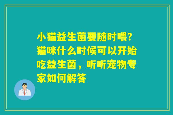 小猫益生菌要随时喂？猫咪什么时候可以开始吃益生菌，听听宠物专家如何解答
