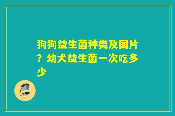 狗狗益生菌种类及图片？幼犬益生菌一次吃多少