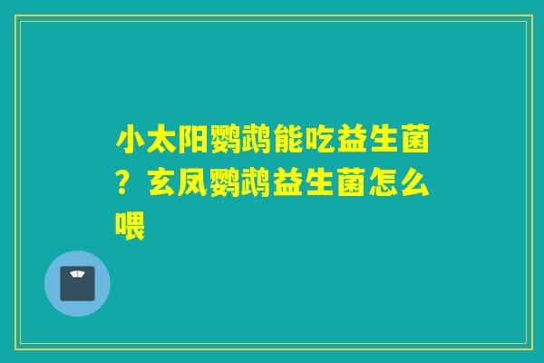 小太阳鹦鹉能吃益生菌?玄凤鹦鹉益生菌怎么喂 小太阳鹦鹉能吃益生菌?玄凤鹦鹉益生菌怎么喂
