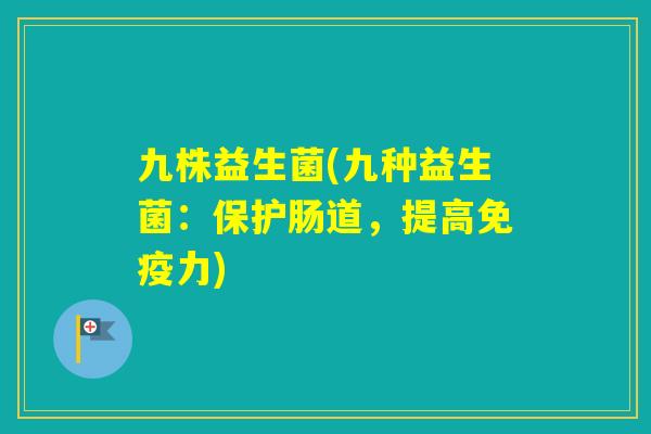 九株益生菌(九种益生菌：保护肠道，提高力)