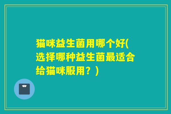 猫咪益生菌用哪个好(选择哪种益生菌适合给猫咪服用？)