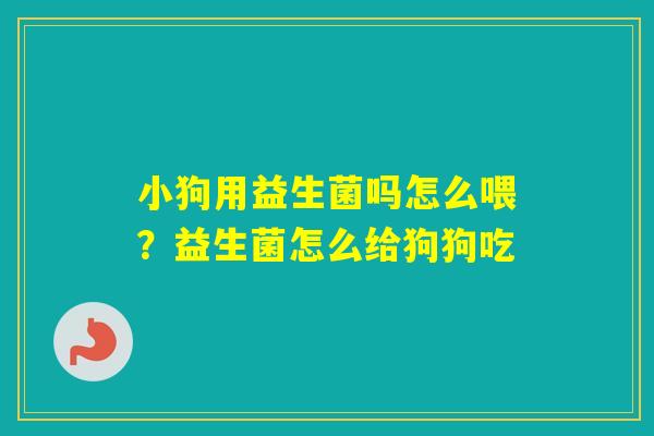 小狗用益生菌吗怎么喂？益生菌怎么给狗狗吃