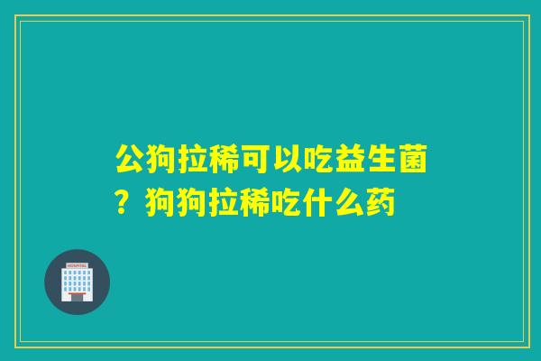 公狗拉稀可以吃益生菌?狗狗拉稀吃什么药 公狗拉稀可以吃益生菌?狗狗拉稀吃什么药
