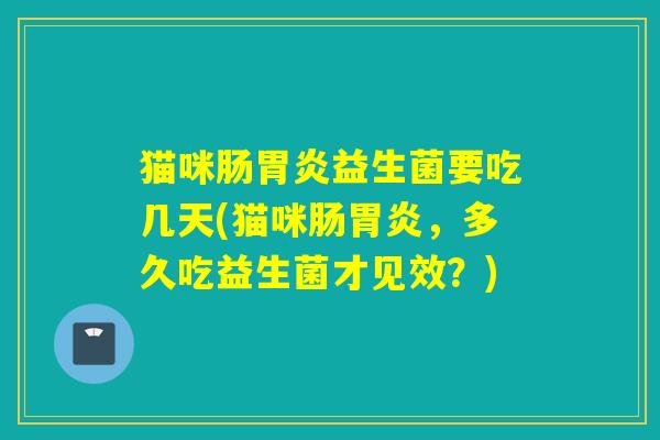 猫咪肠益生菌要吃几天(猫咪肠,多久吃益生菌才见效?) 猫咪肠益生菌要吃几天(猫咪肠,多久吃益生菌才见效?)