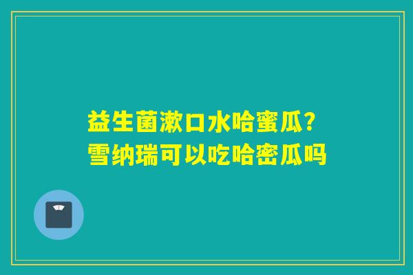 益生菌漱口水哈蜜瓜？雪纳瑞可以吃哈密瓜吗