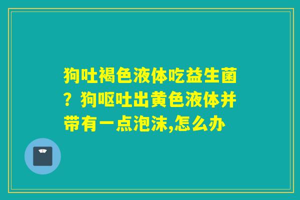 狗吐褐色液体吃益生菌？狗出黄色液体并带有一点泡沫,怎么办