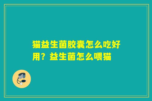 猫益生菌胶囊怎么吃好用?益生菌怎么喂猫 猫益生菌胶囊怎么吃好用?益生菌怎么喂猫