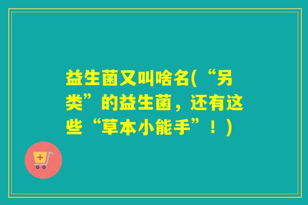 益生菌又叫啥名(“另类”的益生菌，还有这些“草本小能手”！)